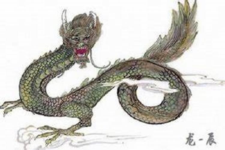 88年五月初八出生的龙运势