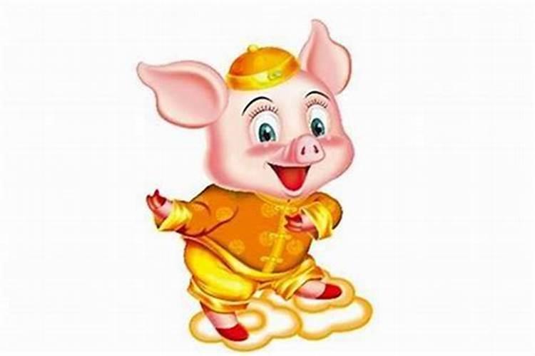 属猪破太岁是什么意思怎么化解？