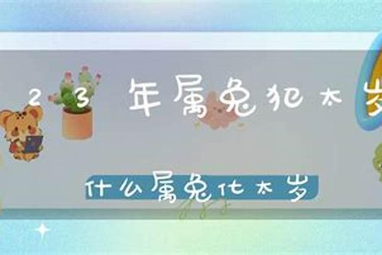 犯太岁兔带什么吉祥物？