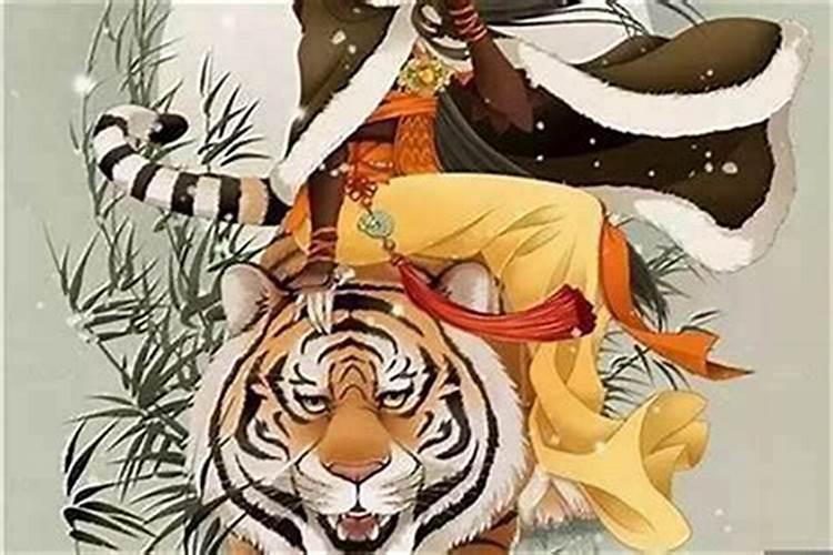 属虎在哪年会犯太岁？