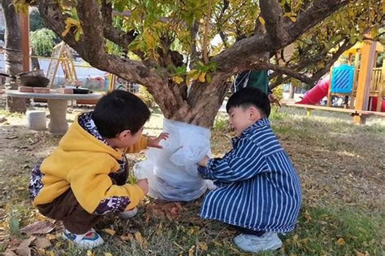 幼儿园立冬习俗