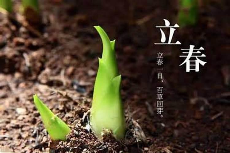 1994年立春时间是什么时候？