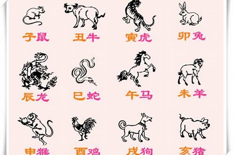 小人是哪几个生肖？