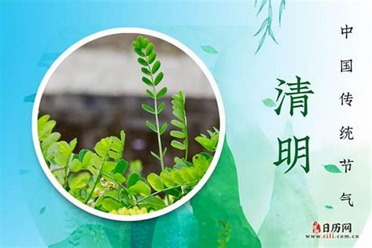 清明节阳历是几月几日农历？