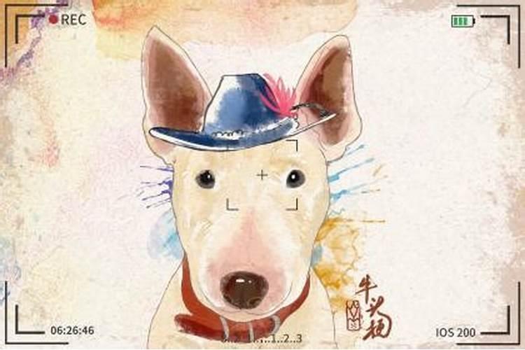 龙抬头出生男孩属狗