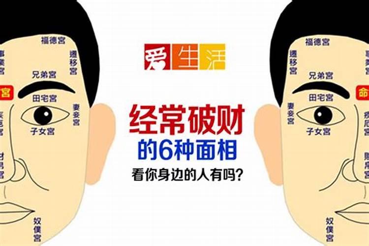 面相分析容易破财的人