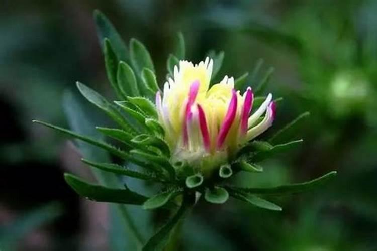 超度的亡灵有功德吗？