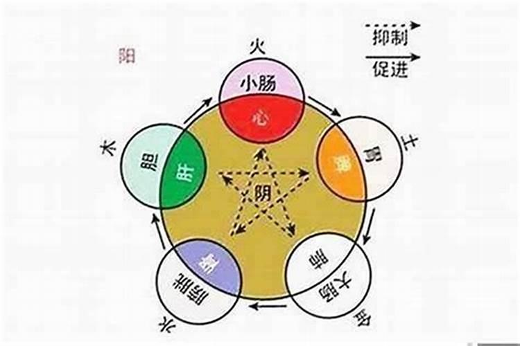 怎么看自己八字是什么属性？