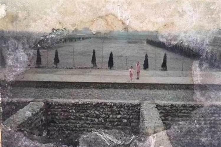 梦见爸爸和我分道扬镳了