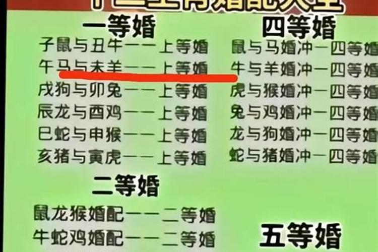 女属鸡男属羊八字合吗？