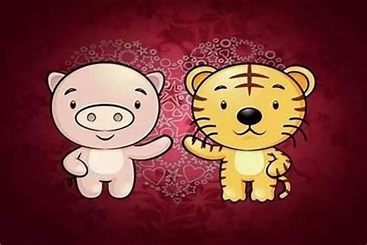 属相猪和虎能婚配吗？