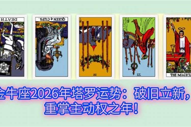 塔罗测试2026年运势
