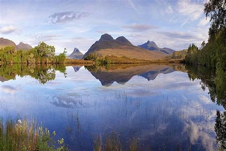 狗女猪男八字合不合