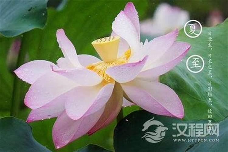 我国夏至有什么习俗吗？