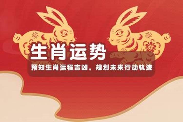 龙属相2026年运势如何？