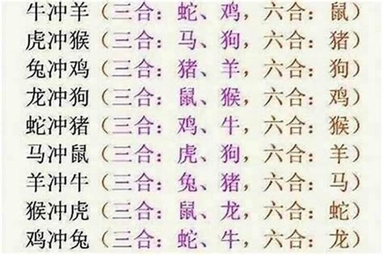 八字不合是什么动物？