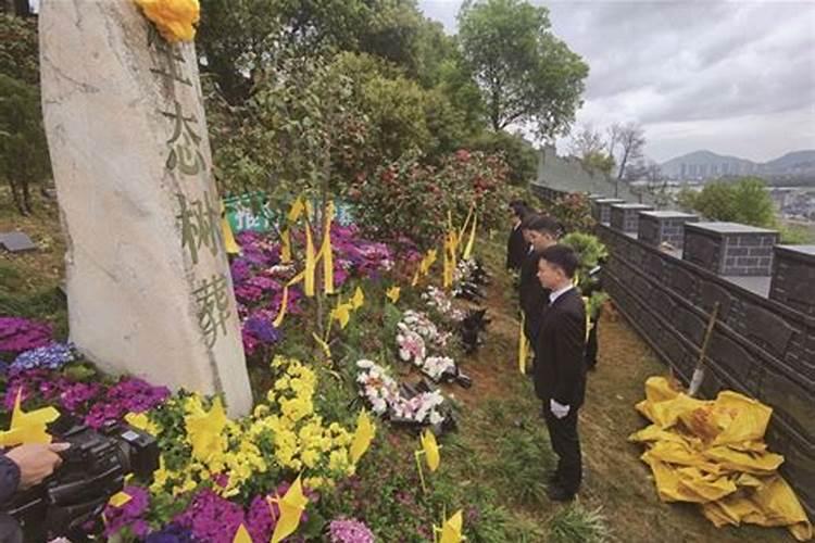 温州清明祭扫