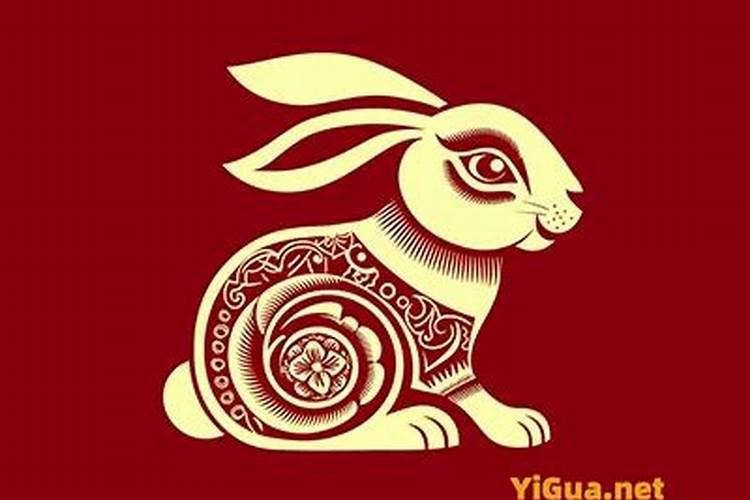 属兔婚配什么属相最佳？