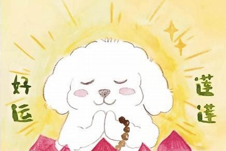 怎么提升运气的方法？