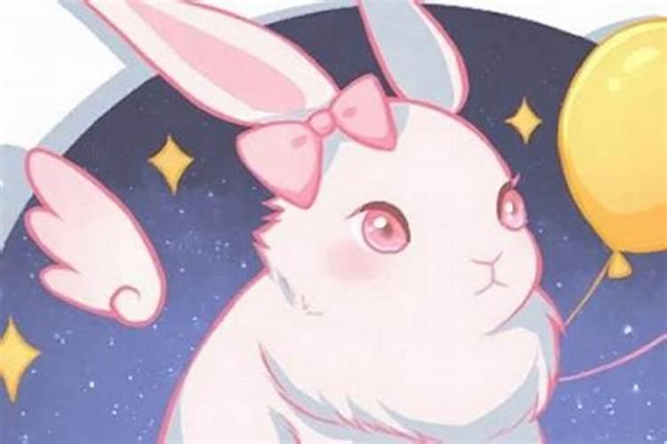 男兔女猴八字合吗？