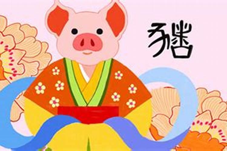 属猪哪些年份运势好？