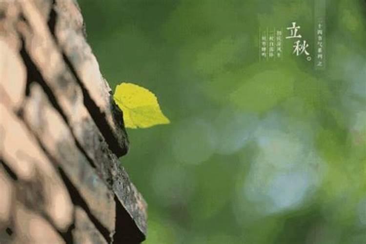 上海几月几日立秋？