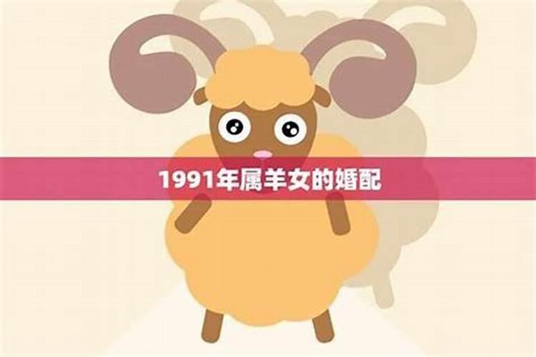 91年的女羊在2026年下半年的运势