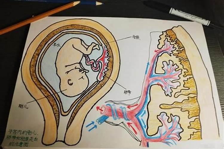 打胎的胎儿怎么取出来？