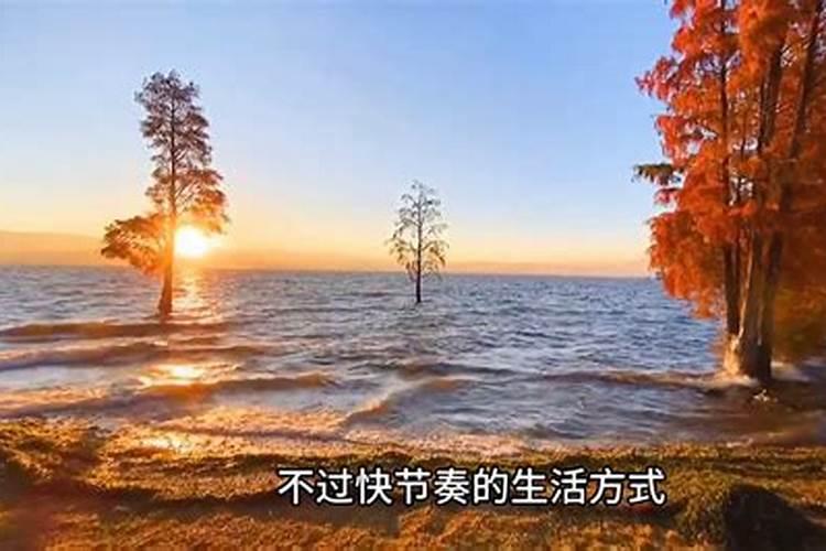 梦到爱人带自己去旅游