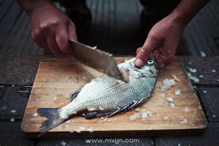 梦见杀鱼预示着什么？