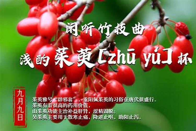 农历九月初九插茱萸好吗？