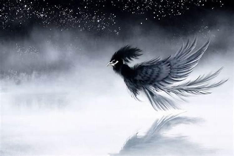 天蝎座男生喜欢什么样的女生？