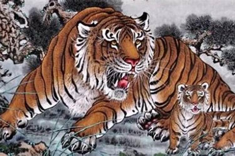 属相虎龙婚配好吗？