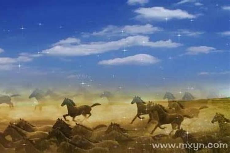 梦见马惊是什么预兆解梦？