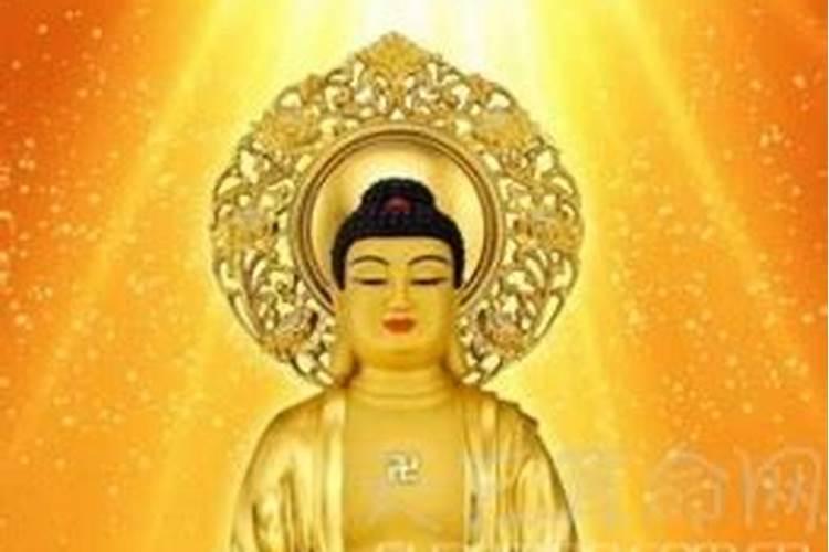 猪的本命佛是什么？