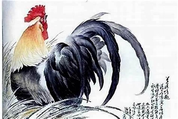 属龙跟属鸡的八字合不合