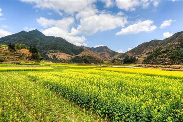 唐山周边清明节去哪里玩？