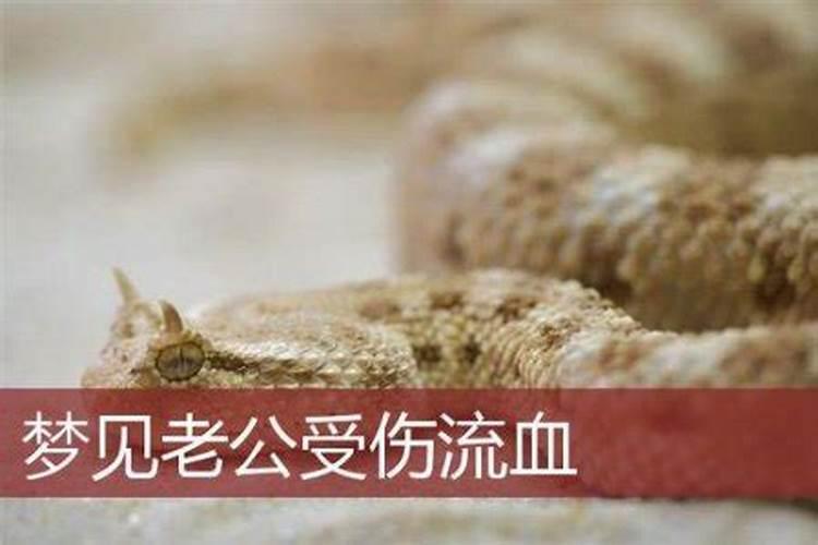 梦见爸爸摔倒头破流血