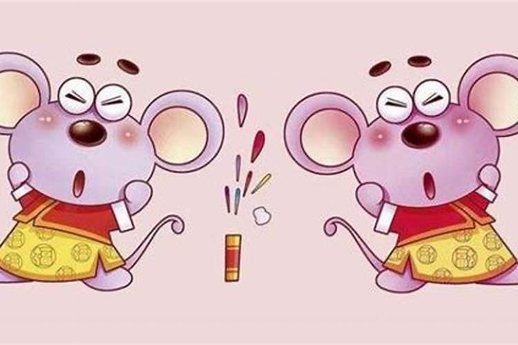 属鼠人哪几年犯太岁？