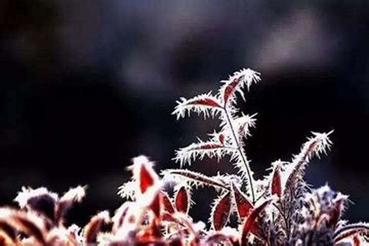 2026寒衣节祭奠亲人