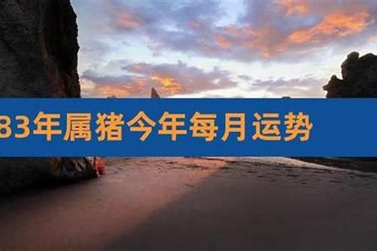 1983年属猪女运程怎样？