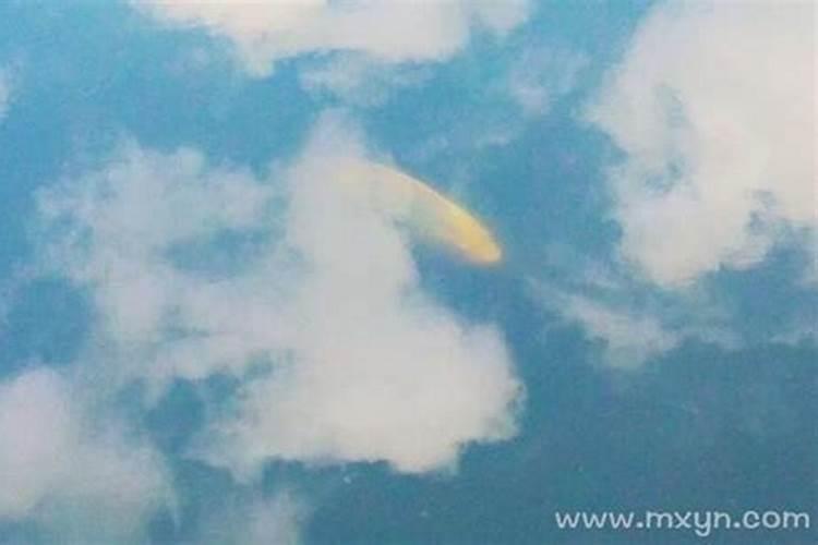 梦见红色鱼在天上飞