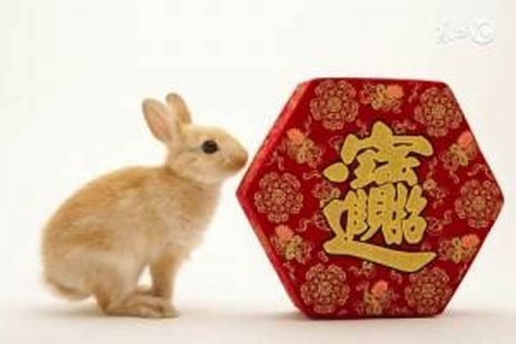 2026属兔的今年运势