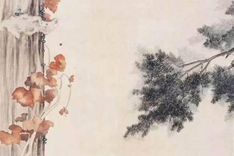 虎宝夏至出生取名