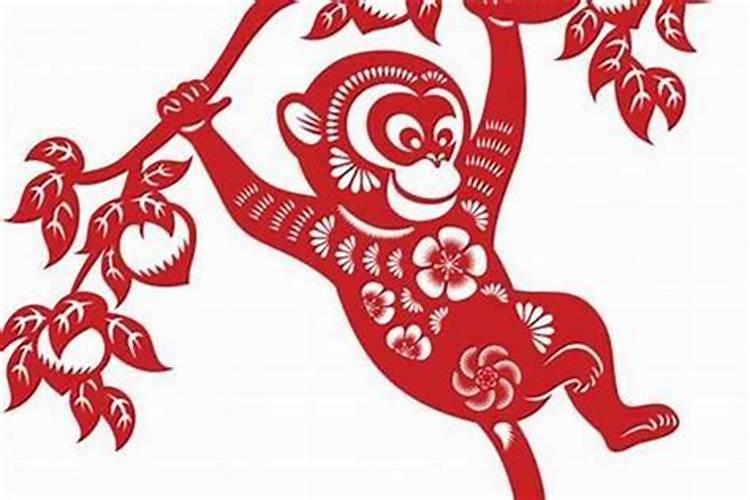 80属猴的人一生运程