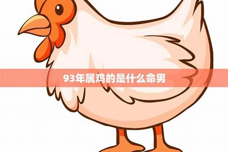 93鸡什么命？