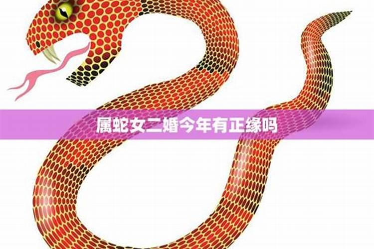 今年属蛇的婚姻运势