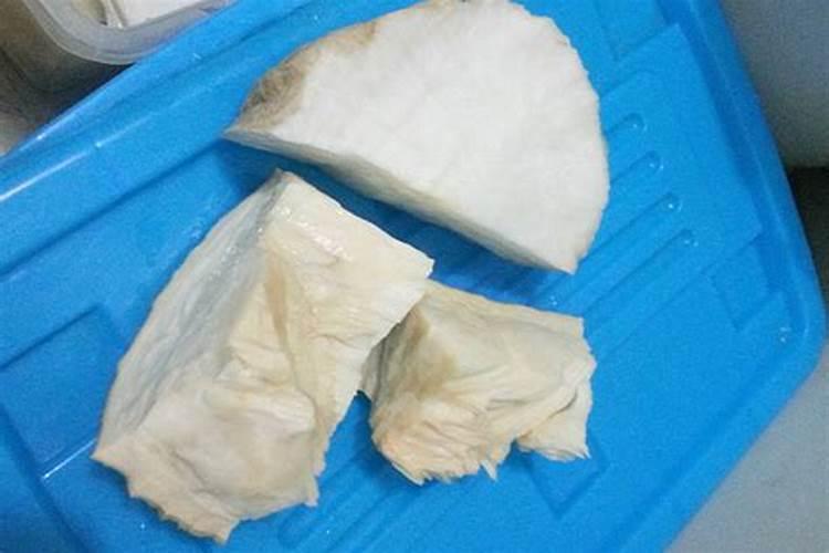 太岁怎么养出来的？