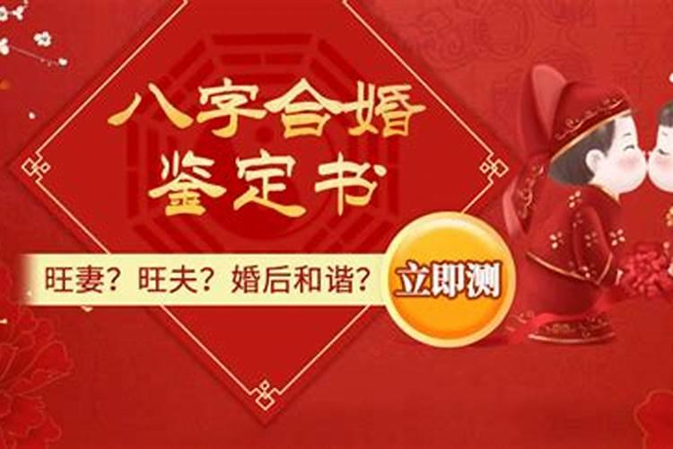 合婚最好的婚姻叫什么？