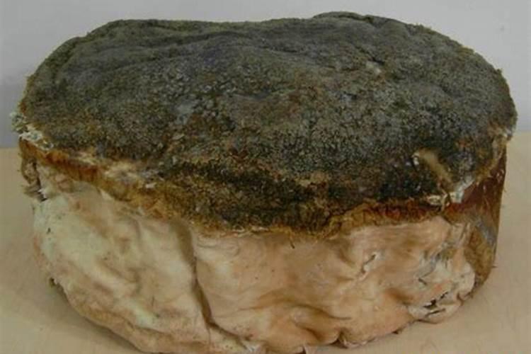 太岁是个体生物吗？